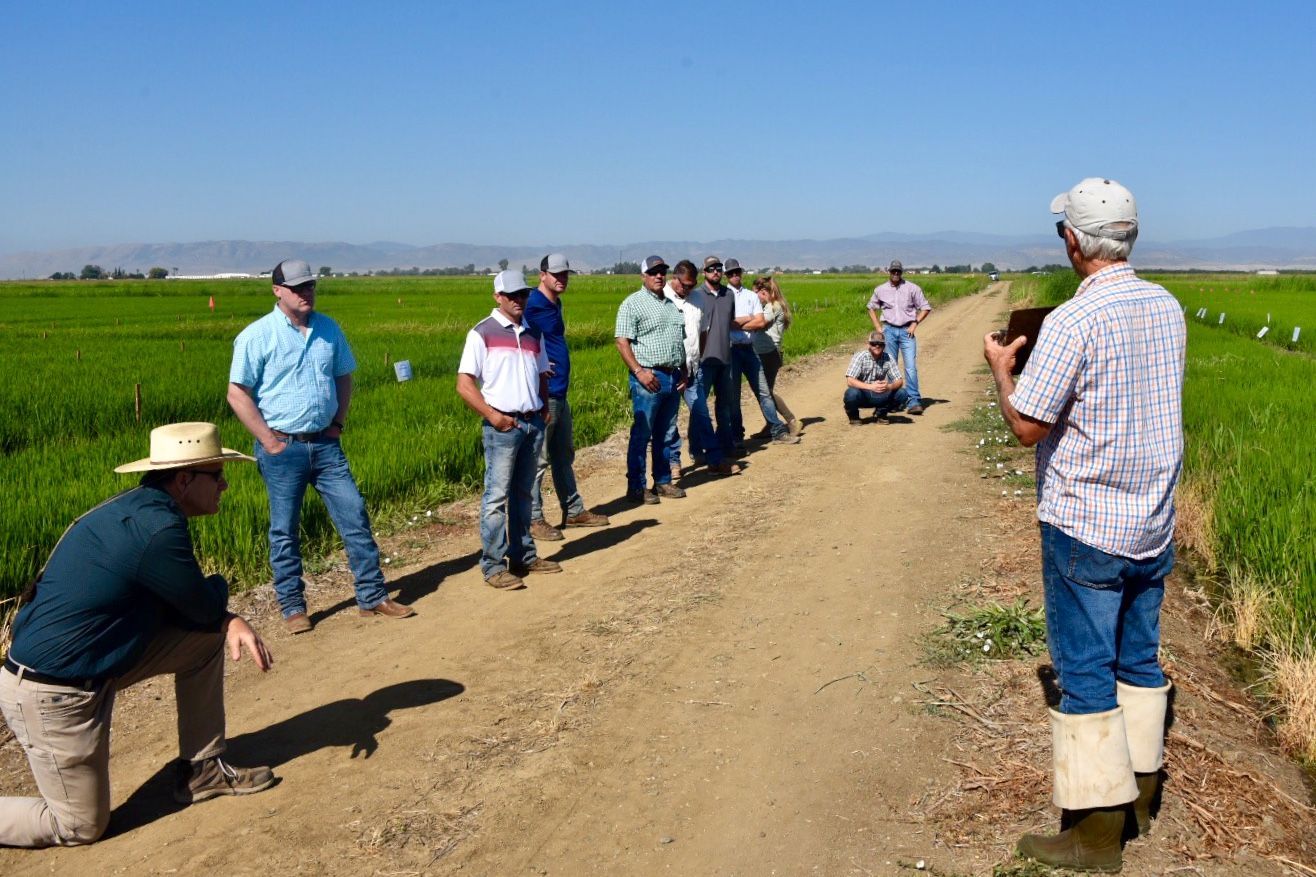 Group of people on dirt path in a field, listening to a speaker, bright sunny day.