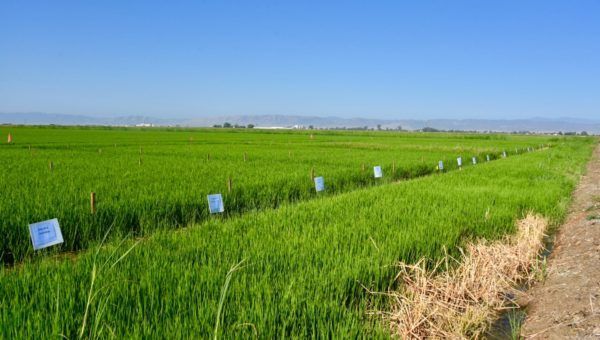 Growing Together – Spring 2021