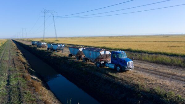 Blue truck with trailers on a dirt road next to a water channel, with fields of crops on both sides.