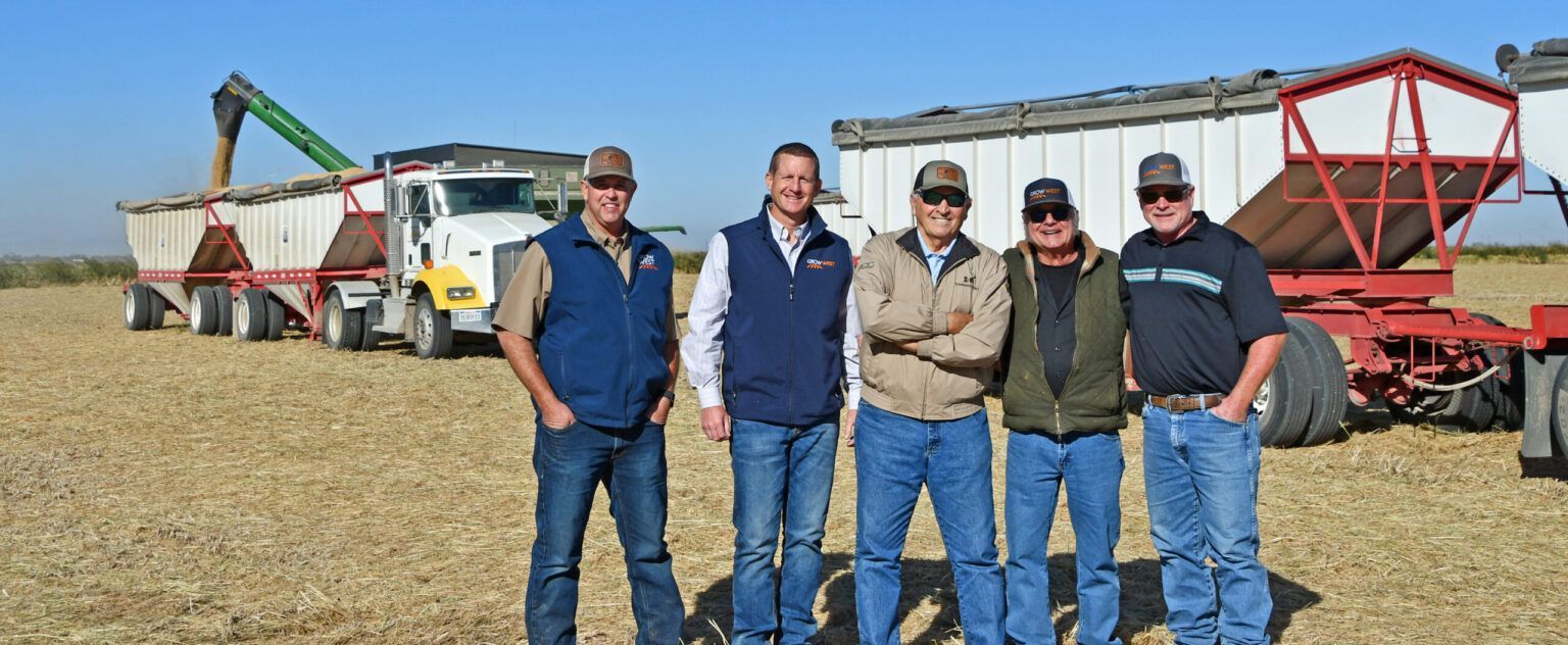 Five men stand in a field with trucks and trailers. Corn is being unloaded. Sunny, daytime.