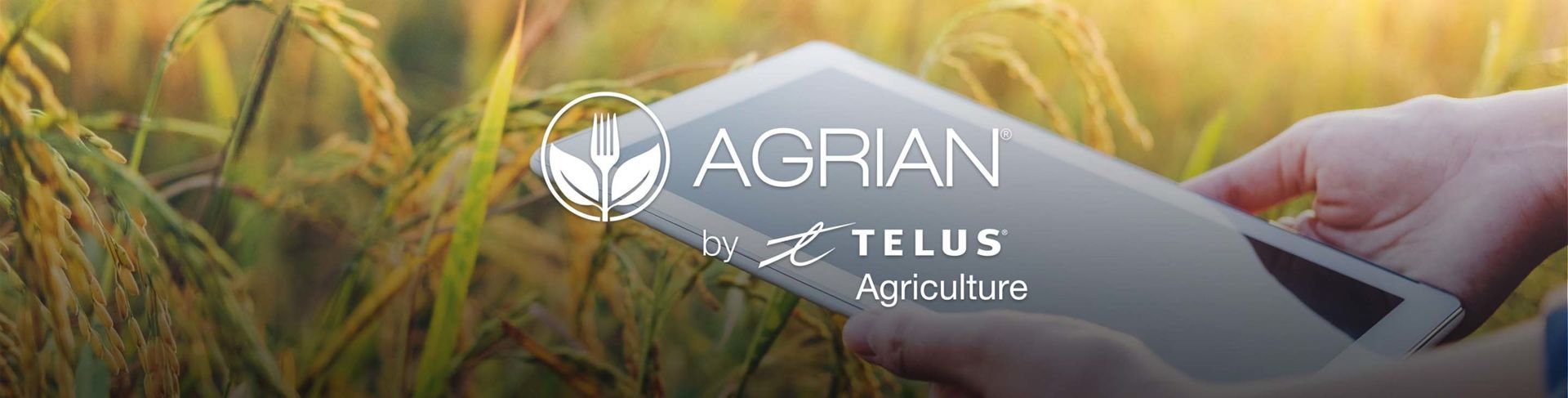 Person holding a tablet in a rice field, Agrarian logo visible.