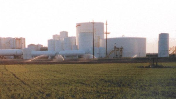 Growing Together – Fall 2020