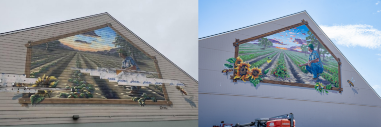 Mural on a building: a field scene of a person harvesting crops with sunflowers. Before and after restoration.