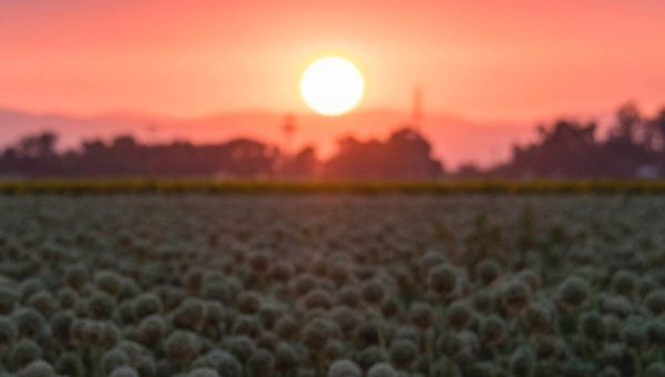 Growing Together – Fall 2024