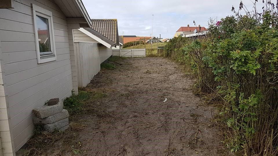 En grusvej, der fører til et hus med en hæk i baggrunden.