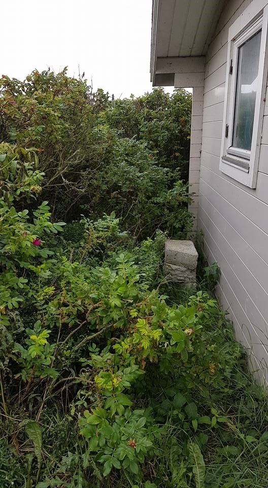 Et hvidt hus med en masse buske og træer foran.