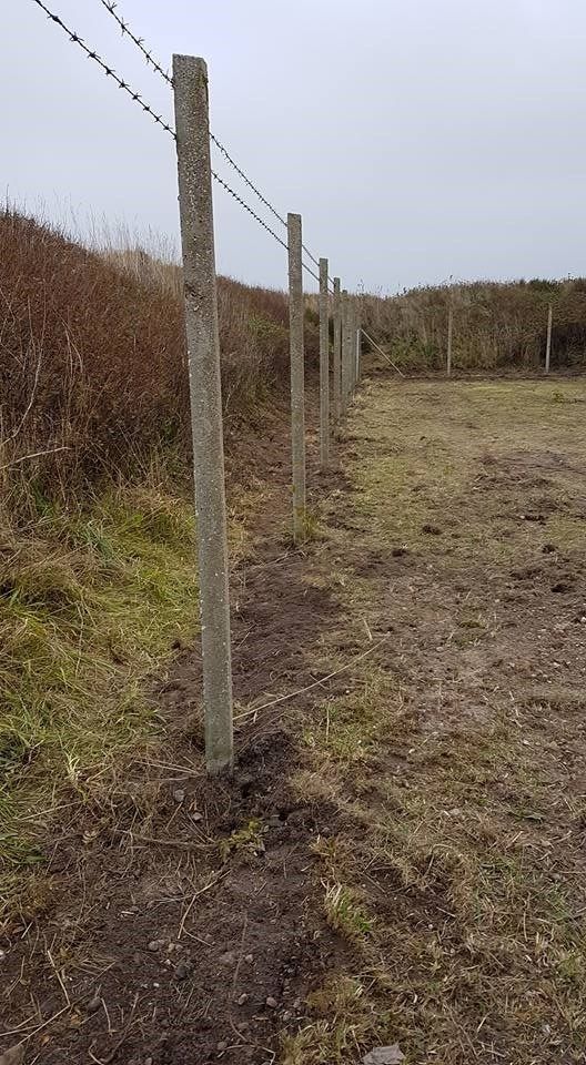 Et pigtrådshegn omgiver en jordmark.