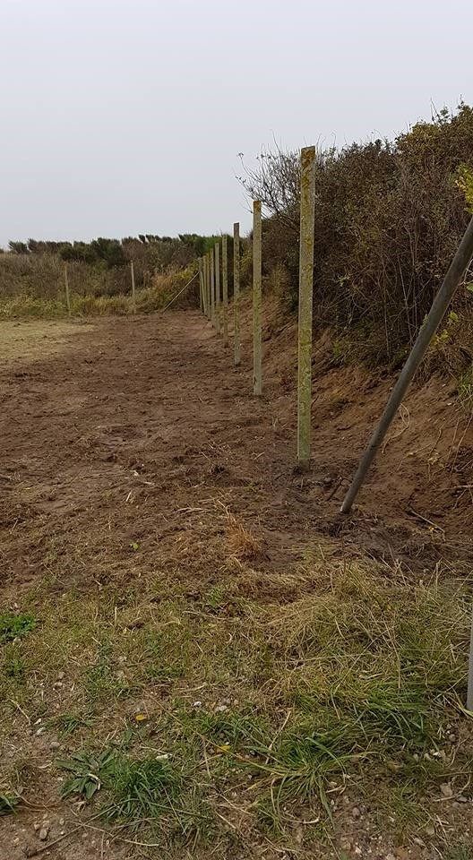 Der bygges et plankeværk midt på en mark.