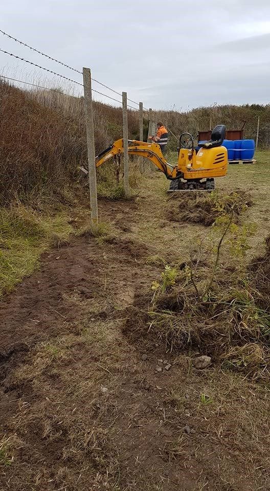 En lille gul gravemaskine er ved at grave et hul på en mark ved siden af ​​et pigtrådshegn.