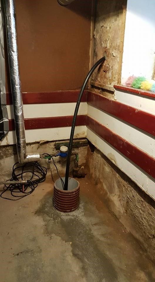 En slange kommer ud af et hul i jorden i en kælder.