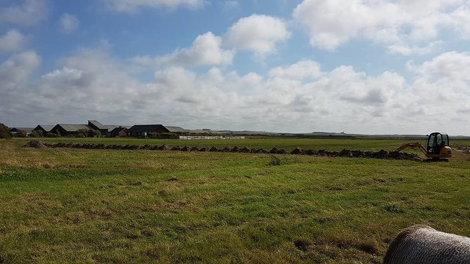 En stor græsmark med en traktor i midten.