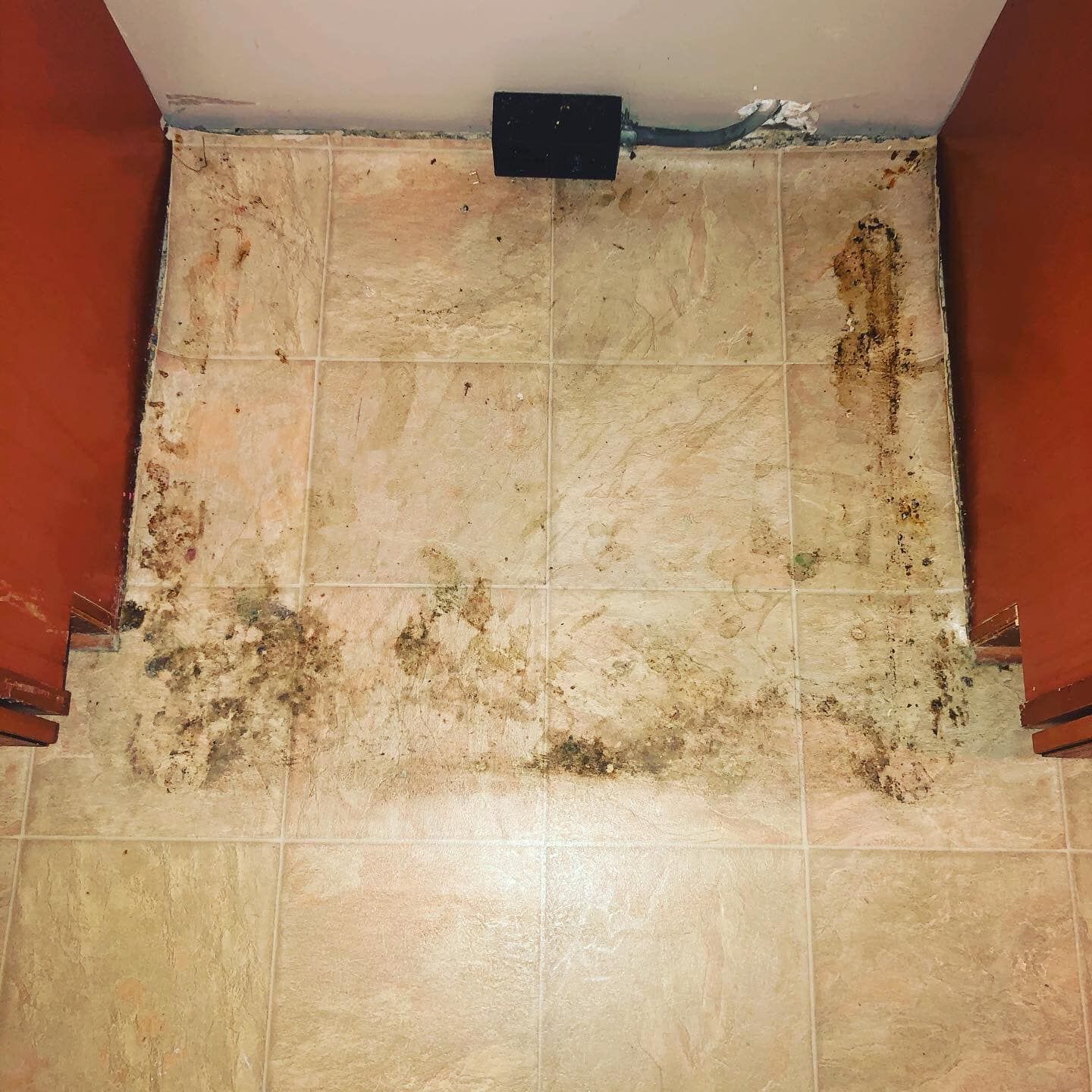 A patch of light-colored vinyl flooring stained with dark, dirty debris and grime between two red-painted walls.