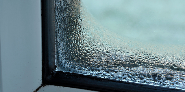  Window Condensation Prevention