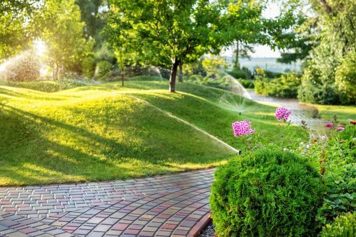Sunny garden path with green lawn, sprinkler spray, pink flowers, and trees at sunset