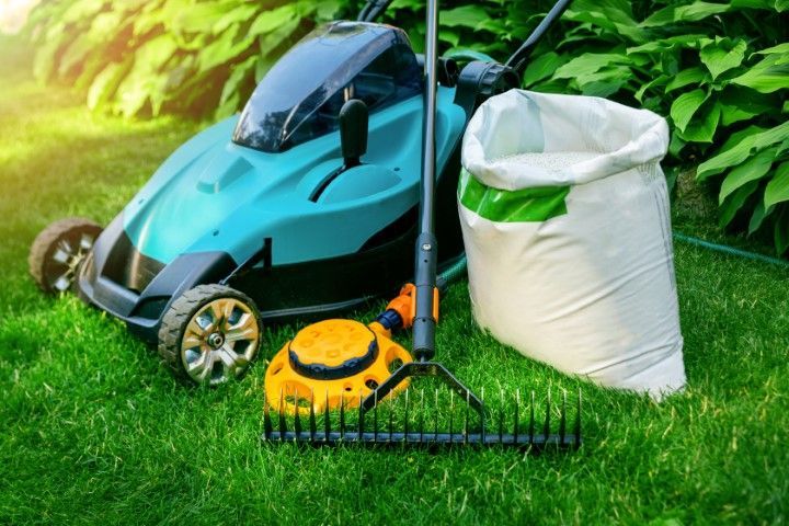 Blue push lawn mower, grass trimmer, and yard bag on green lawn in sunlight