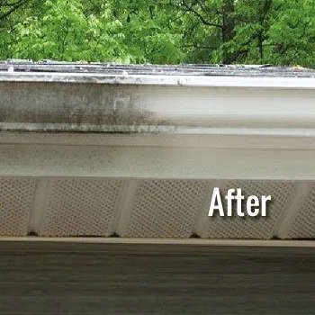 Rust and oxidation removal service