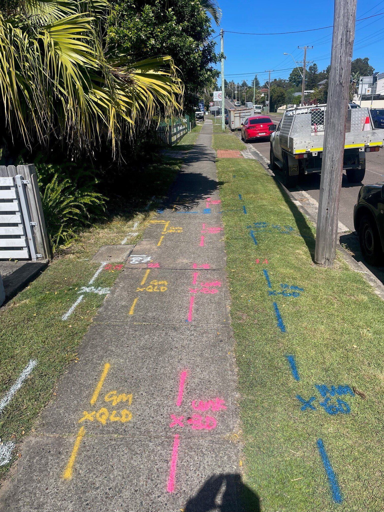 Underground Utility Markings on Street — East Coast Locating Services in Wallalong, NSW