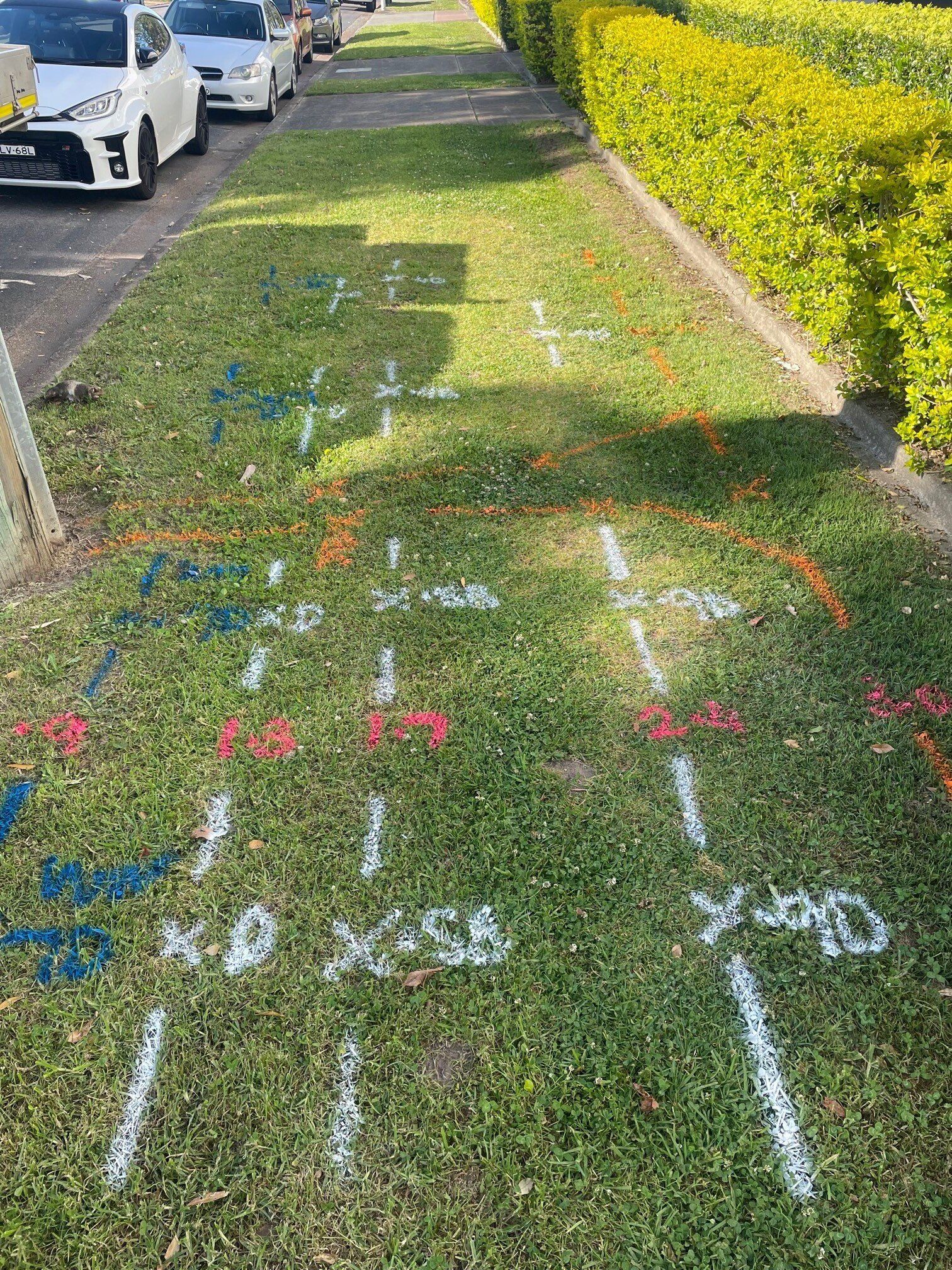 Underground Utility Markings on Lawn — East Coast Locating Services in Wallalong, NSW