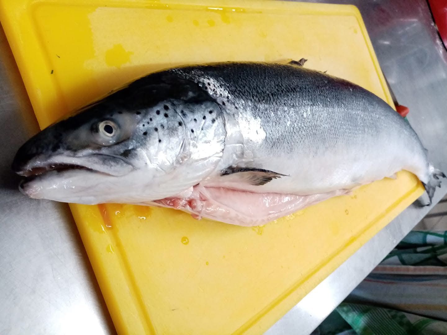 menu con pesce per pranzo di lavoro a Bergamo