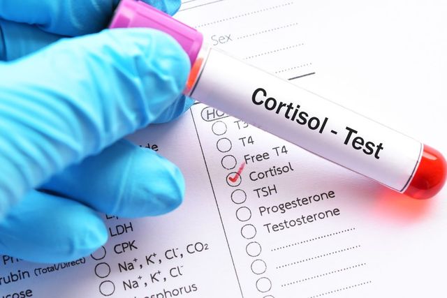 Retirada do Ovário > Cirurgia e Recuperação da Ooforoplastia