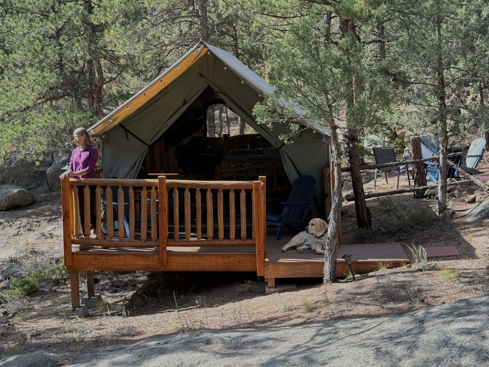 Cabin and covered deck nestled in a wooded area. Brown deck, red roof, green cabin.