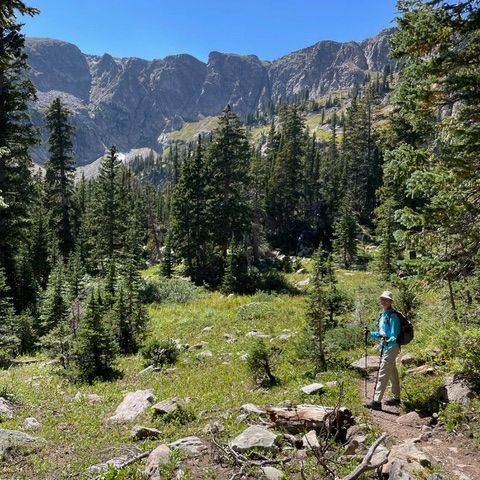 Person with backpack standing in a tall, dense forest; trees reach towards bright sky.