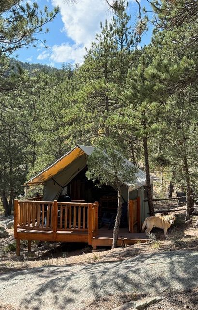 Canvas tent on a wooden deck with two blue chairs. The tent has a canopy and string lights.