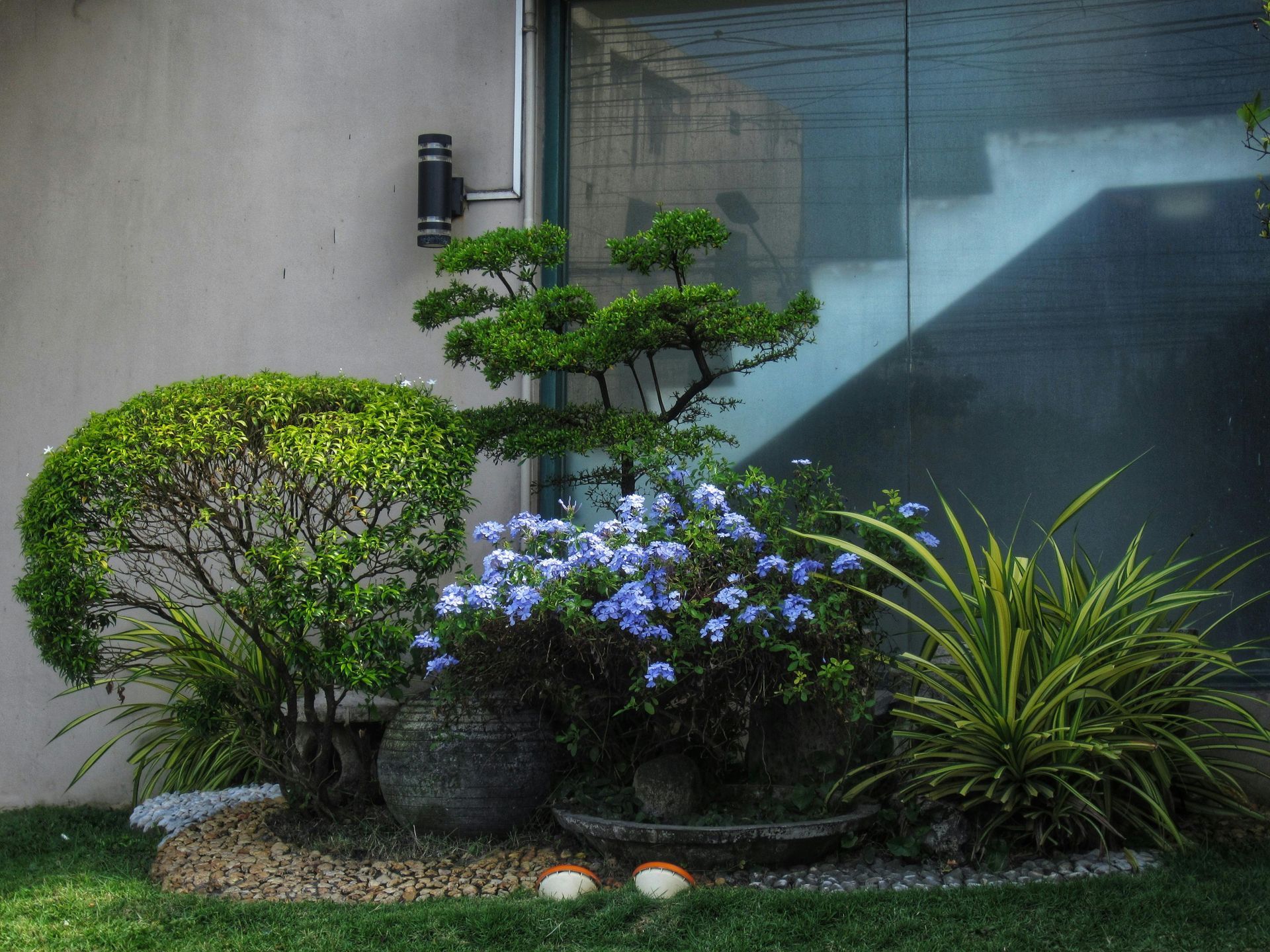 Foster City Pro Landscapes_GardenDesign