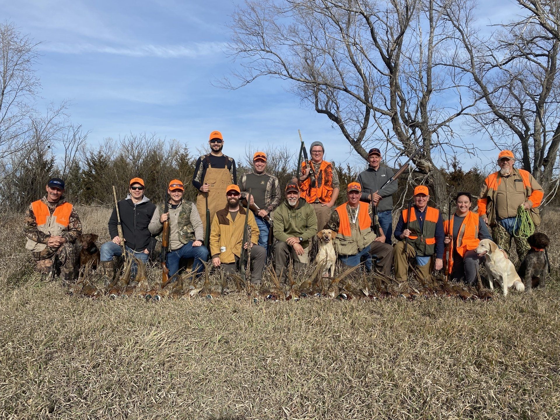 South Dakota Pheasant Hunts - Wild Birds - Large Acreage & Lodge