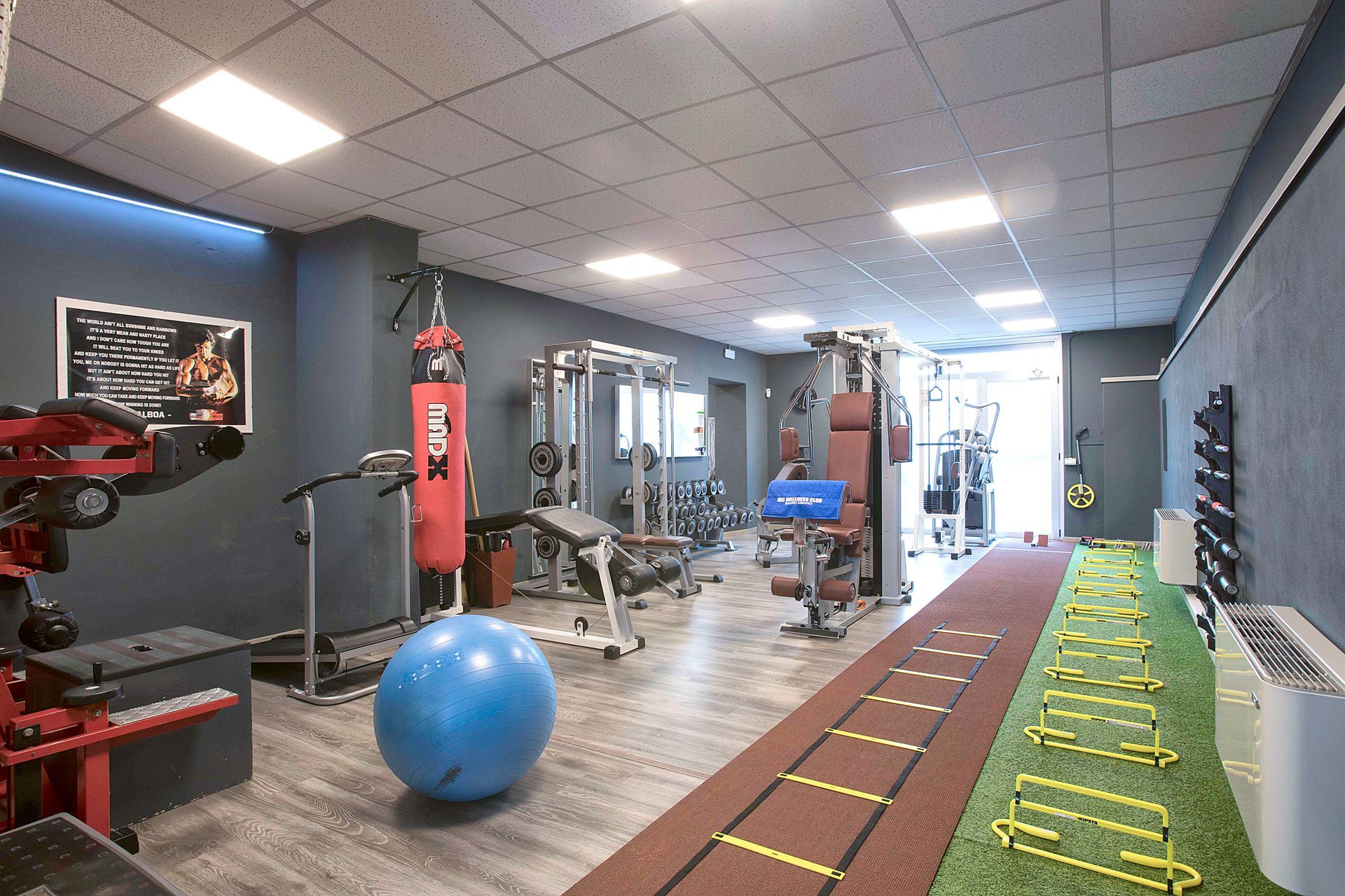 palestra