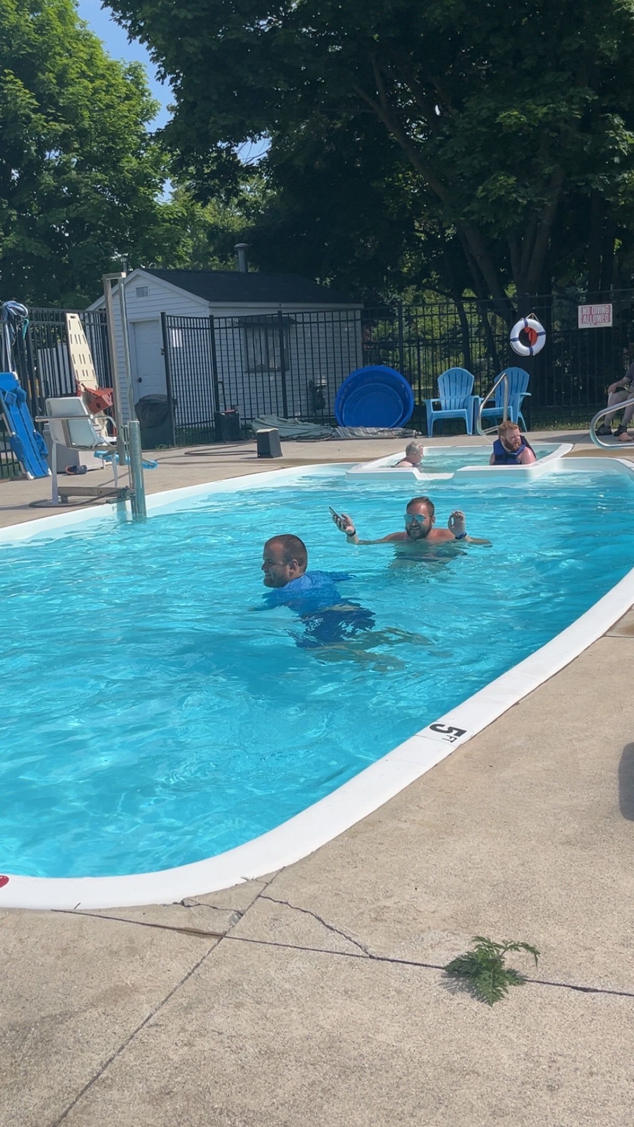 People swimming in a blue pool on a sunny day; trees and small buildings in the background.