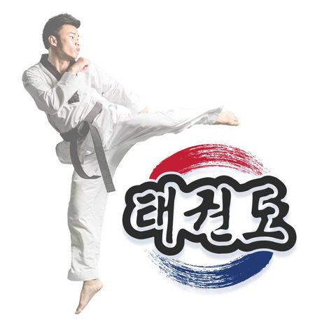 History | High Kick Taekwondo - Sayville, NY