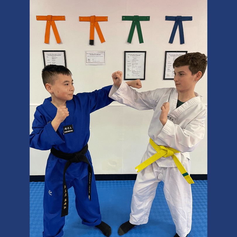 high-kick-taekwondo-sayville-s-best-martial-arts-school