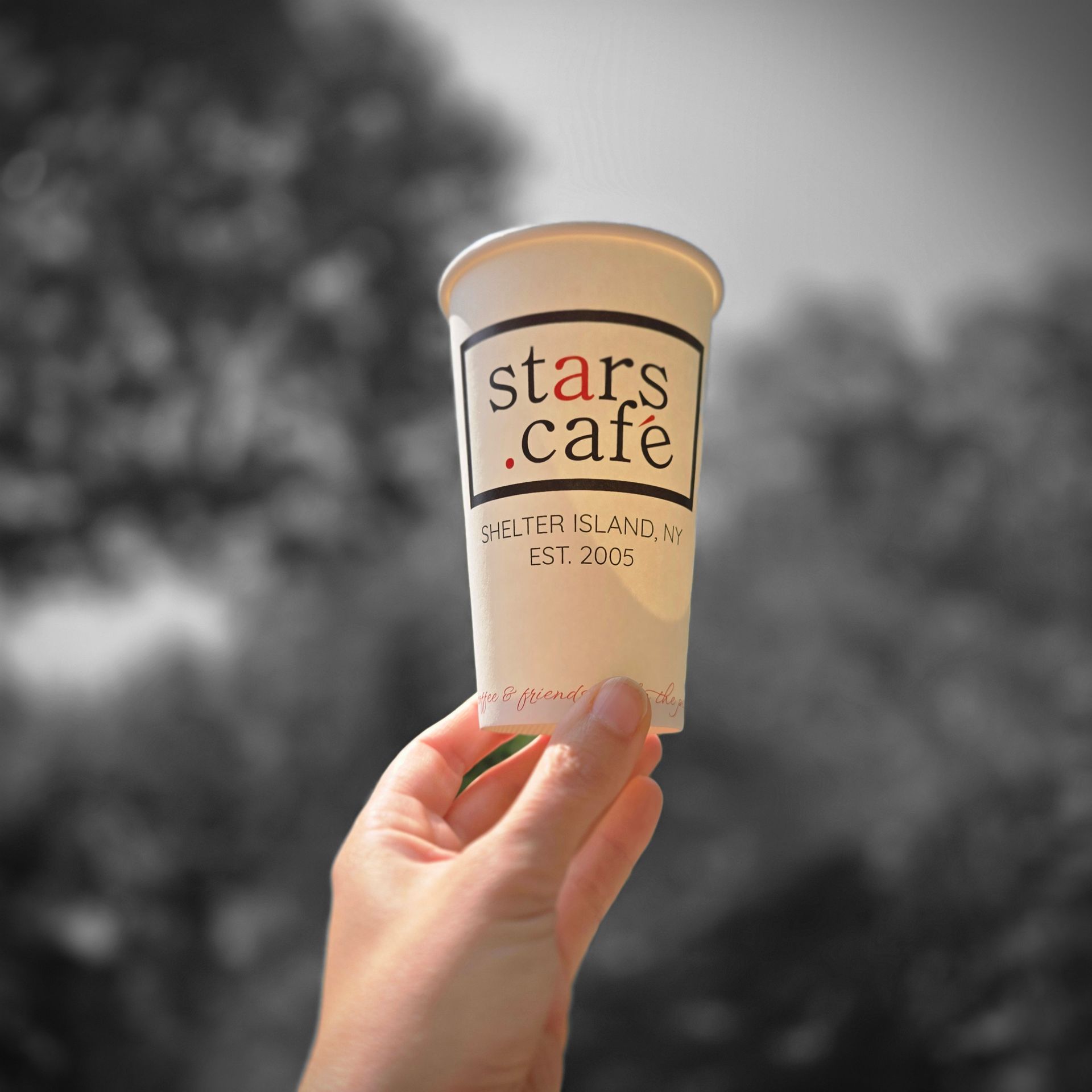 great coffee and hot beverages at stars cafe