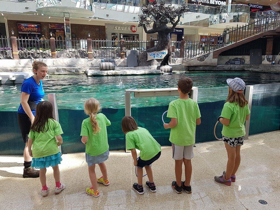 A group of children in green shirts are standing in front of an aquarium
