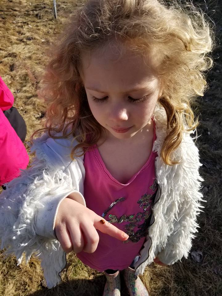 A little girl is pointing at a ladybug on her finger.