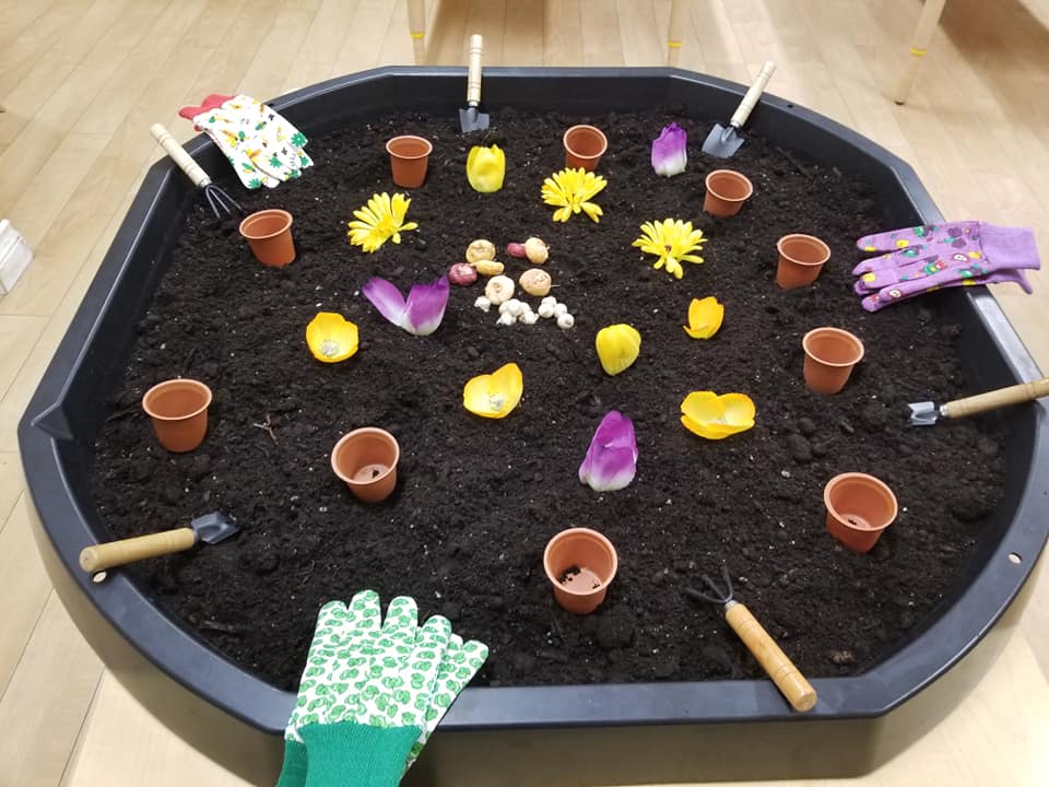 A tray of dirt with pots and flowers on it