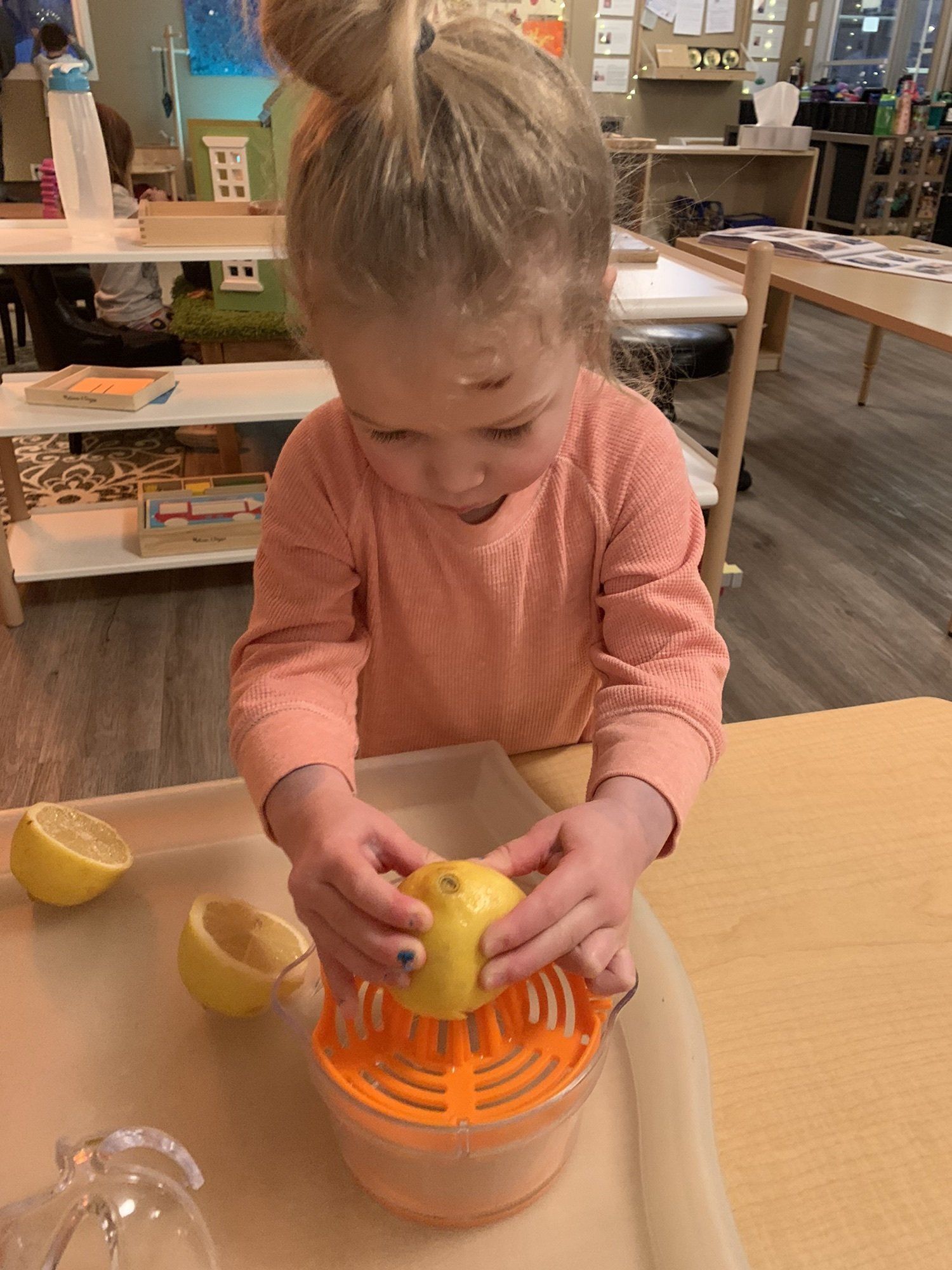 A little girl is squeezing a lemon into a glass.