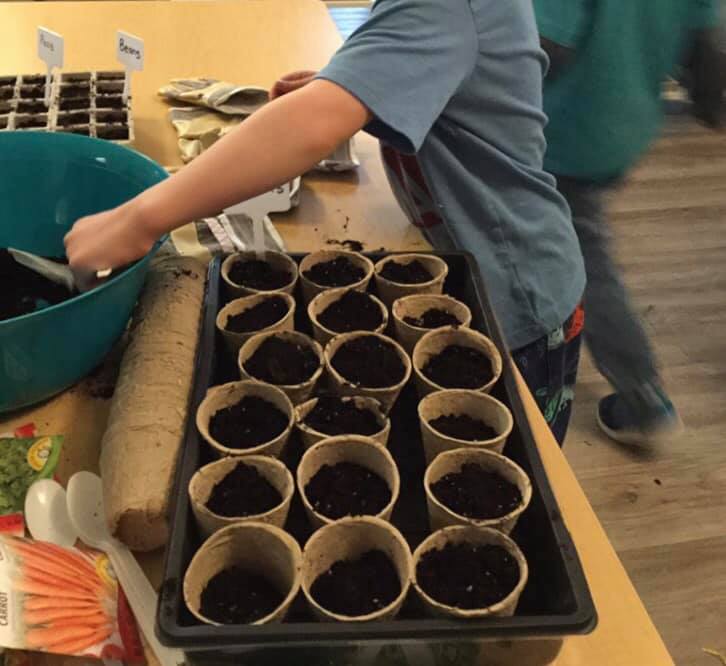 A young boy is working on a tray of potted plants