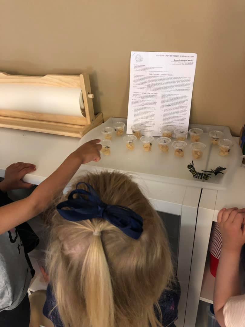 A girl with a blue bow in her hair is sitting at a table.