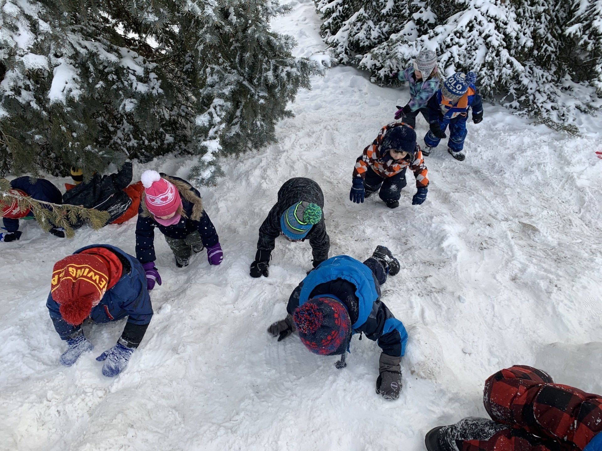 A group of children are crawling in the snow.