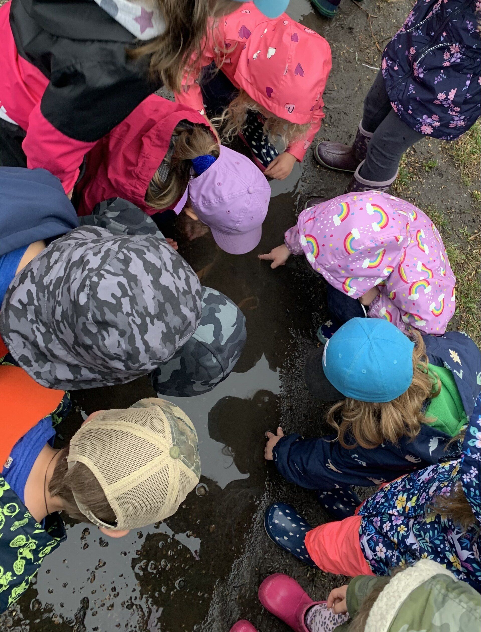 A group of children are playing in a muddy puddle.