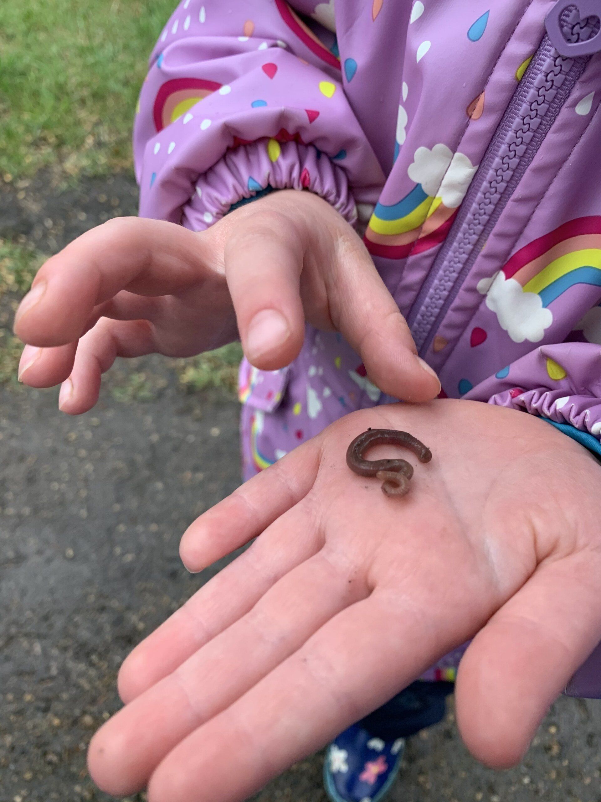 A little girl is holding a small worm in her hand