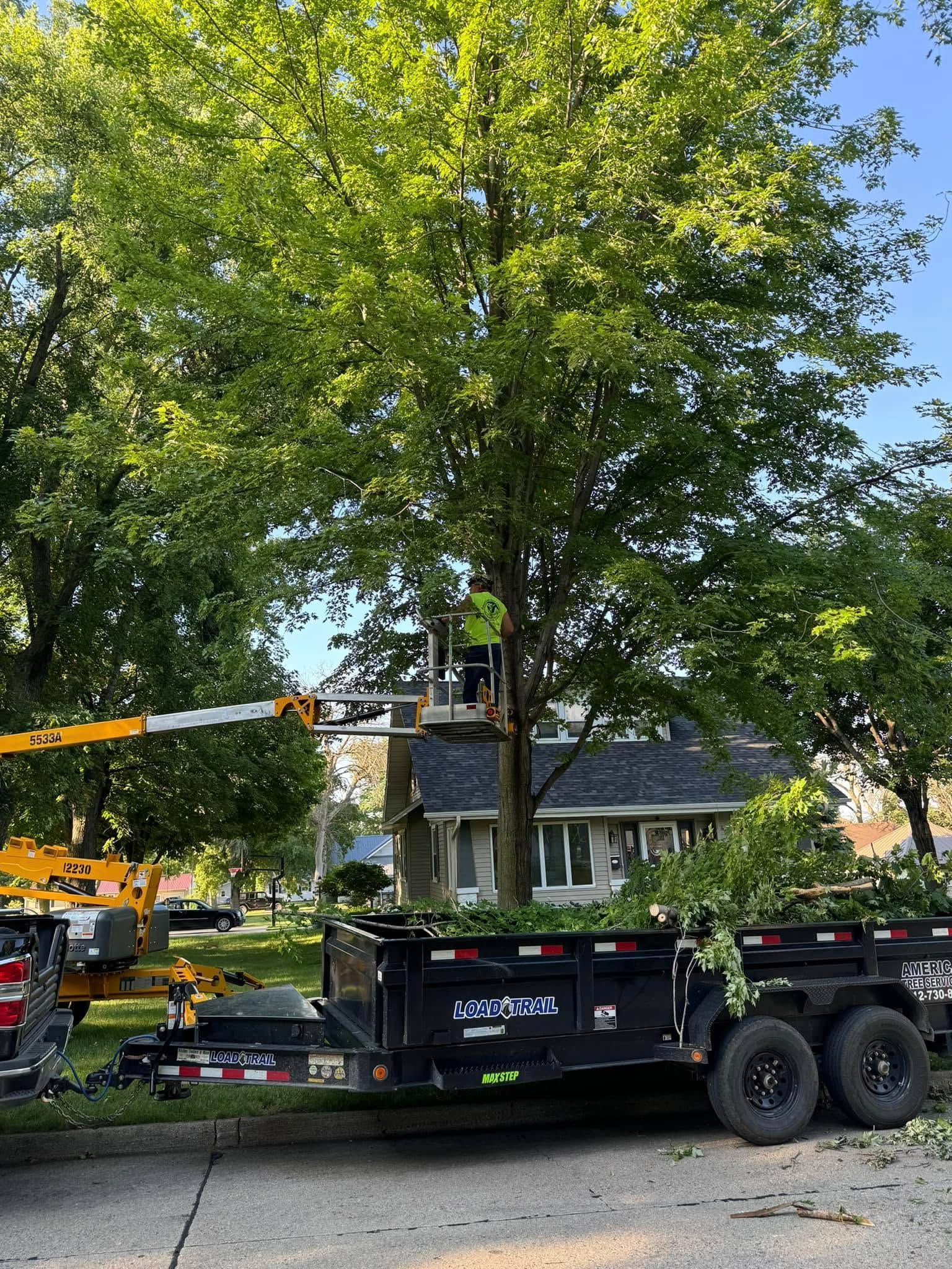 Tree Trimming Burnett County, WI