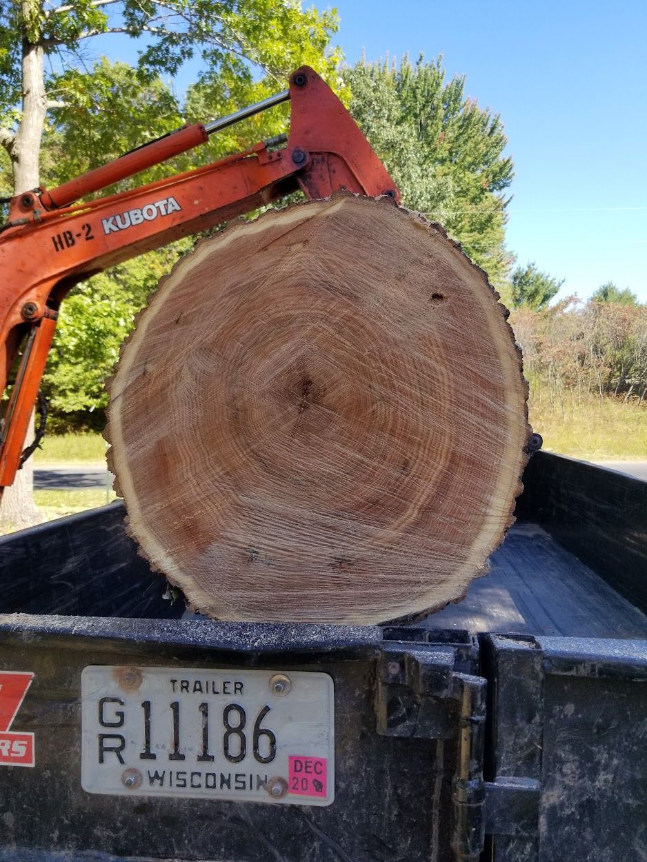 Burnett Land & Tree Services - Tree Removal Webb Lake, WI