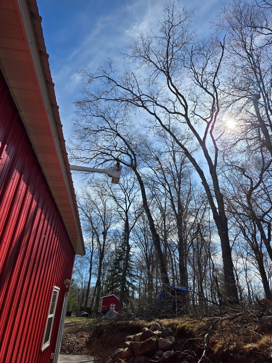 Burnett County, WI Tree Trimming