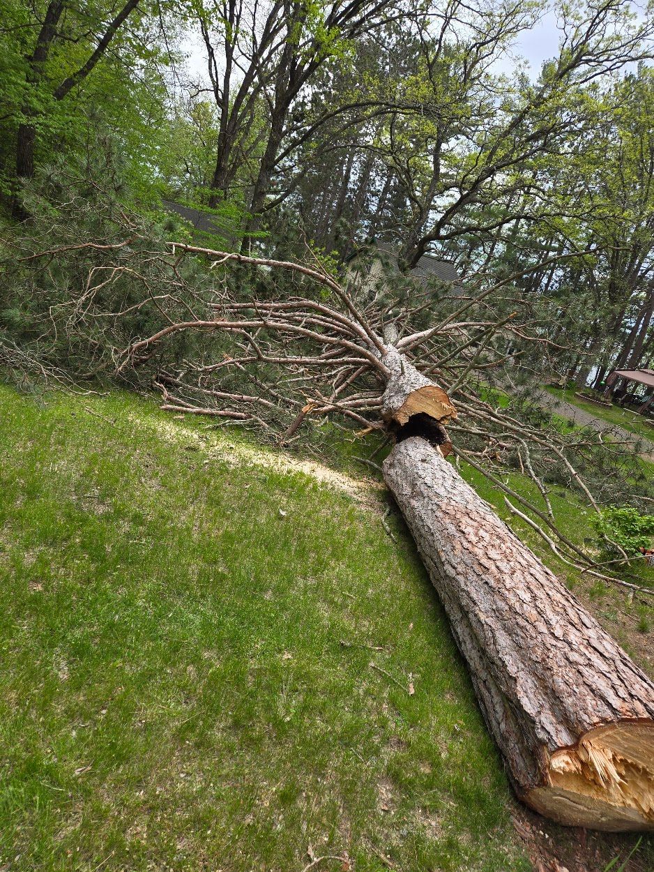 Burnett Land & Tree Services - Tree Removal Webb Lake, WI