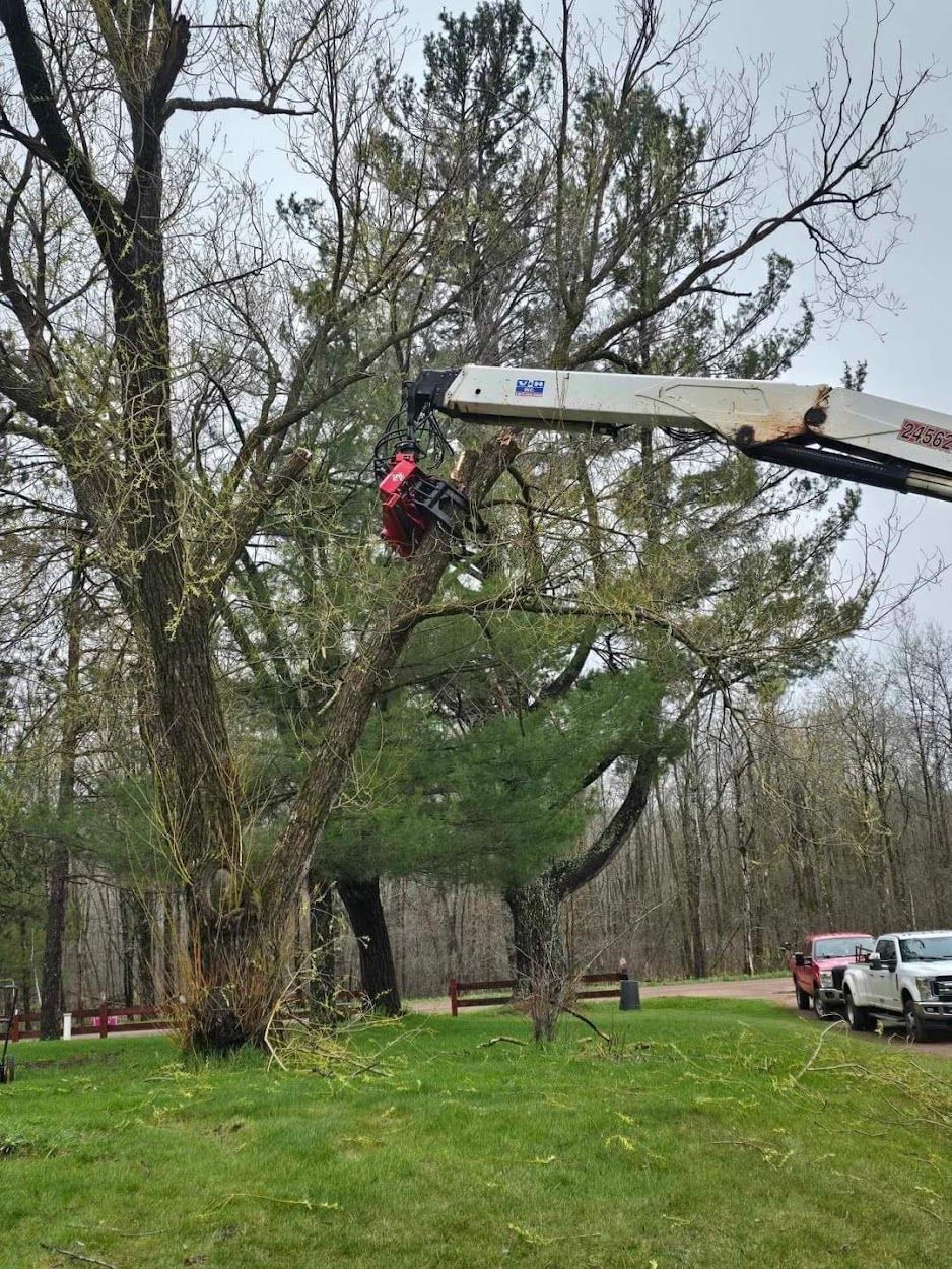 Burnett County, WI Tree Trimming