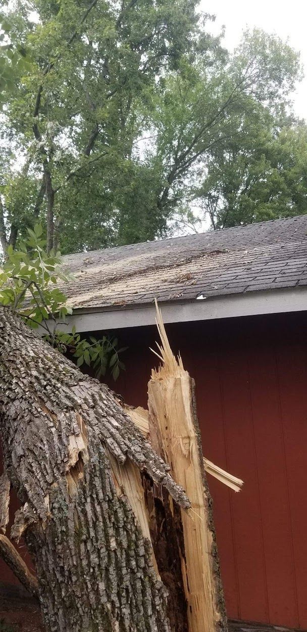 Emergency Tree Removal Burnett County, WI