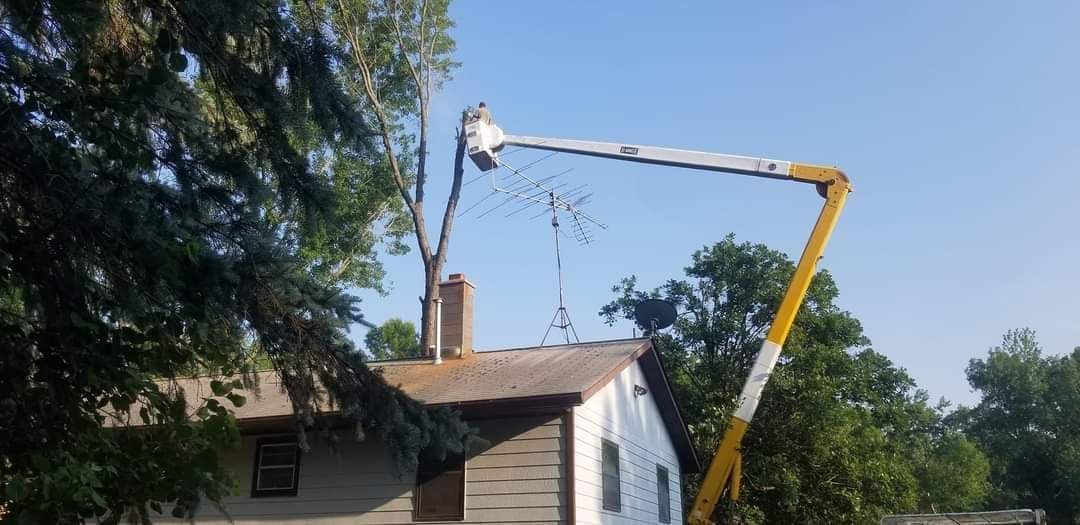 Burnett County, WI Tree Trimming